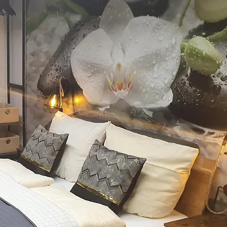 Lane Tiny Homes, Nahe Messe Lägenhet *