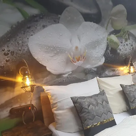 Lane Tiny Homes, Nahe Messe