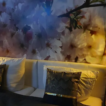 Lane Tiny Homes, Nahe Messe Daire